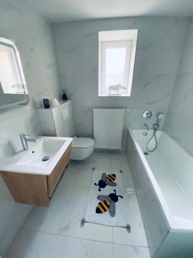Apartman U Vcelina Хлумец-над-Цидлиноу Экстерьер фото
