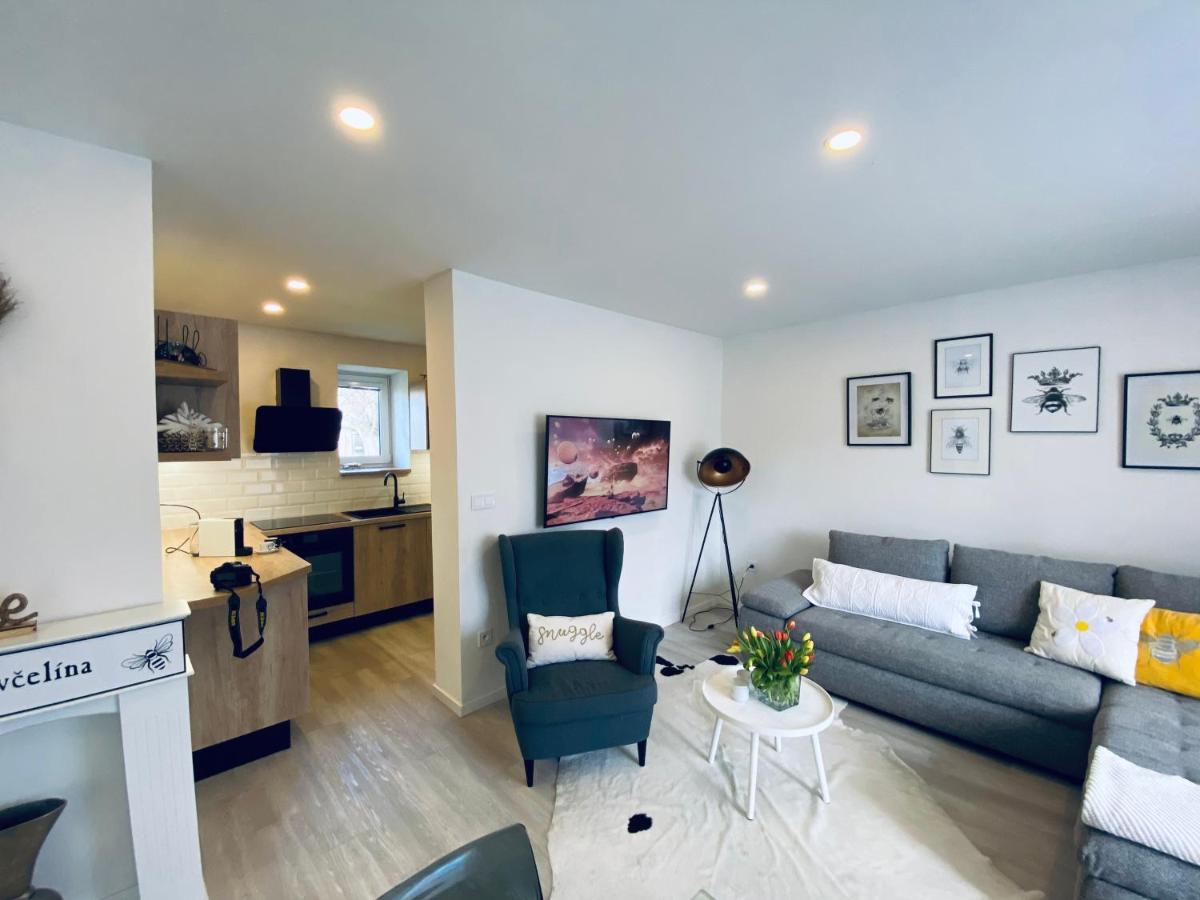 Apartman U Vcelina Хлумец-над-Цидлиноу Экстерьер фото